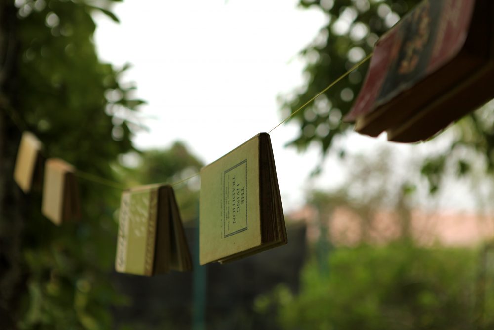 Libros colgados de un cordel en un jardín