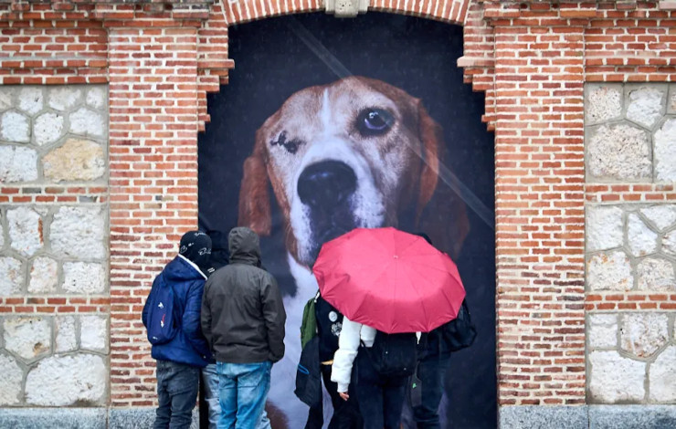 personas de espaldas viendo un mural, uno de los planes de la agenda cultural del 7 al 9 de noviembre