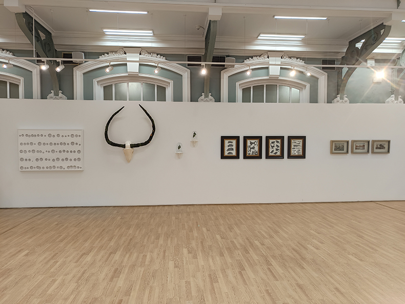 Exposición Manuel Barbero