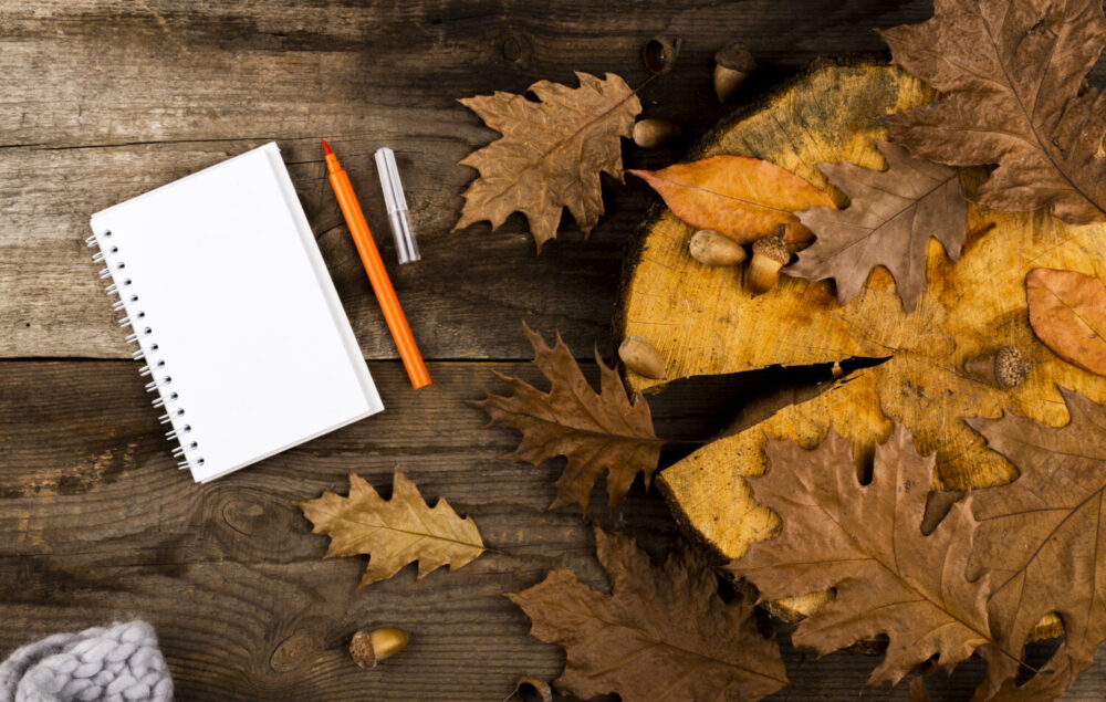 Cuaderno en blanco y lápiz sobre una mesa de madera rodeada de hojas secas y bellotas otoñales, imagen que ilustra la agenda cultural de Barajas en otoño con propuestas de ocio, arte y actividades culturales.