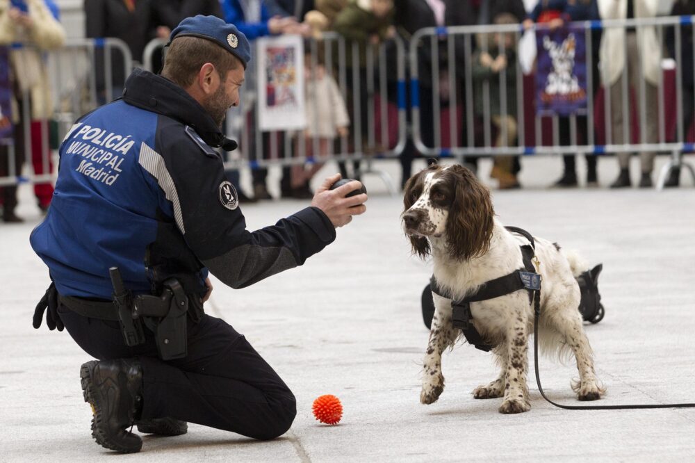 Ejercicio de adiestramiento de Ud canina Policía Municipal