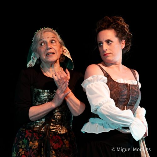 Integrantes de la compañía Decroly en escena