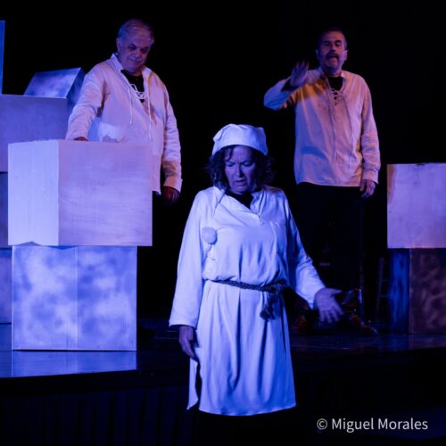 Integrantes de la compañía Decroly en escena