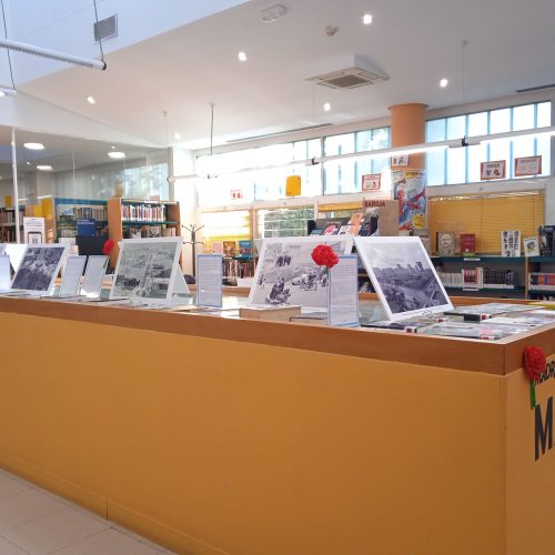 Exposición Costa Fleming en Biblioteca Dámaso Alonso