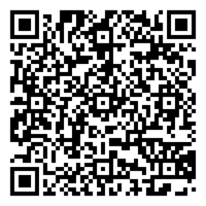 Enlace bidi para la Jornada de Ajedrez