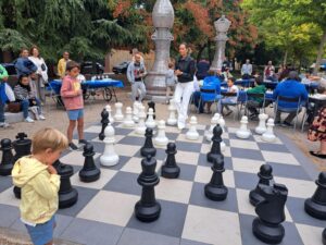 Fiestas del ajedrez de las Fiestas de San Miguel
