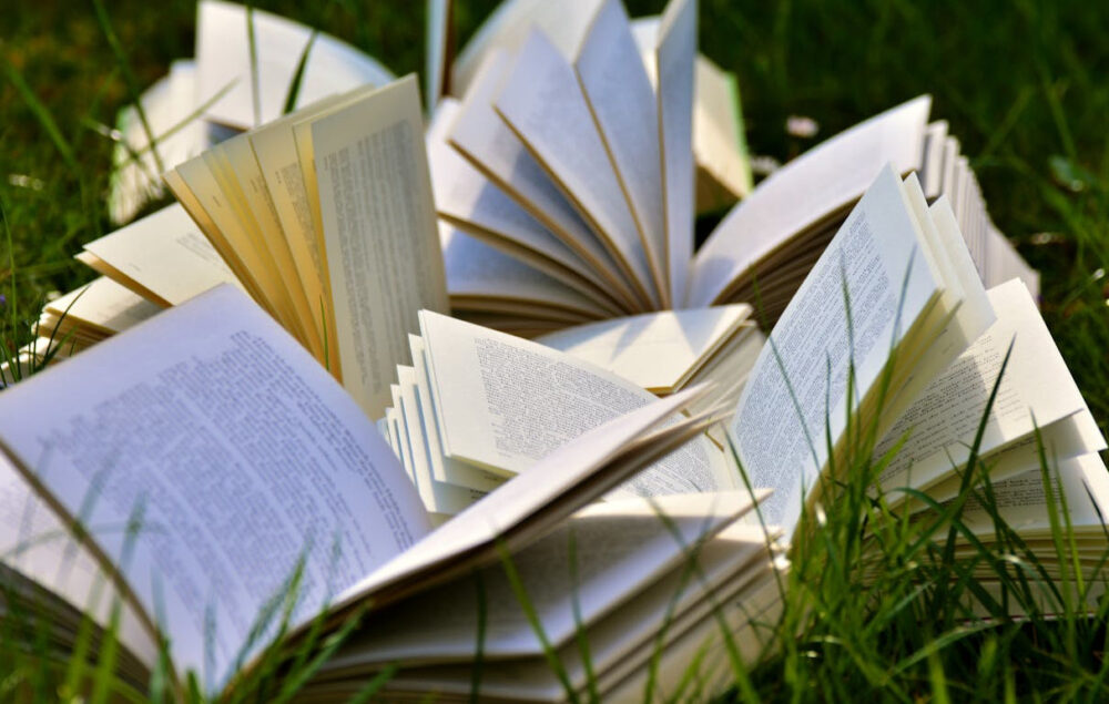 varios libros abiertos tirados sobre el cesped