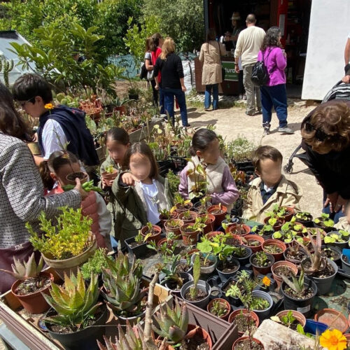Unas personas, entre ellas, niños y niñas, trabajando en un huerto urbano