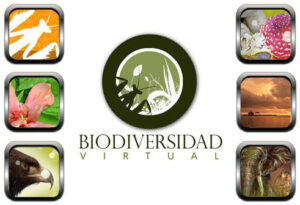 V Testing Biodiversidad Virtual