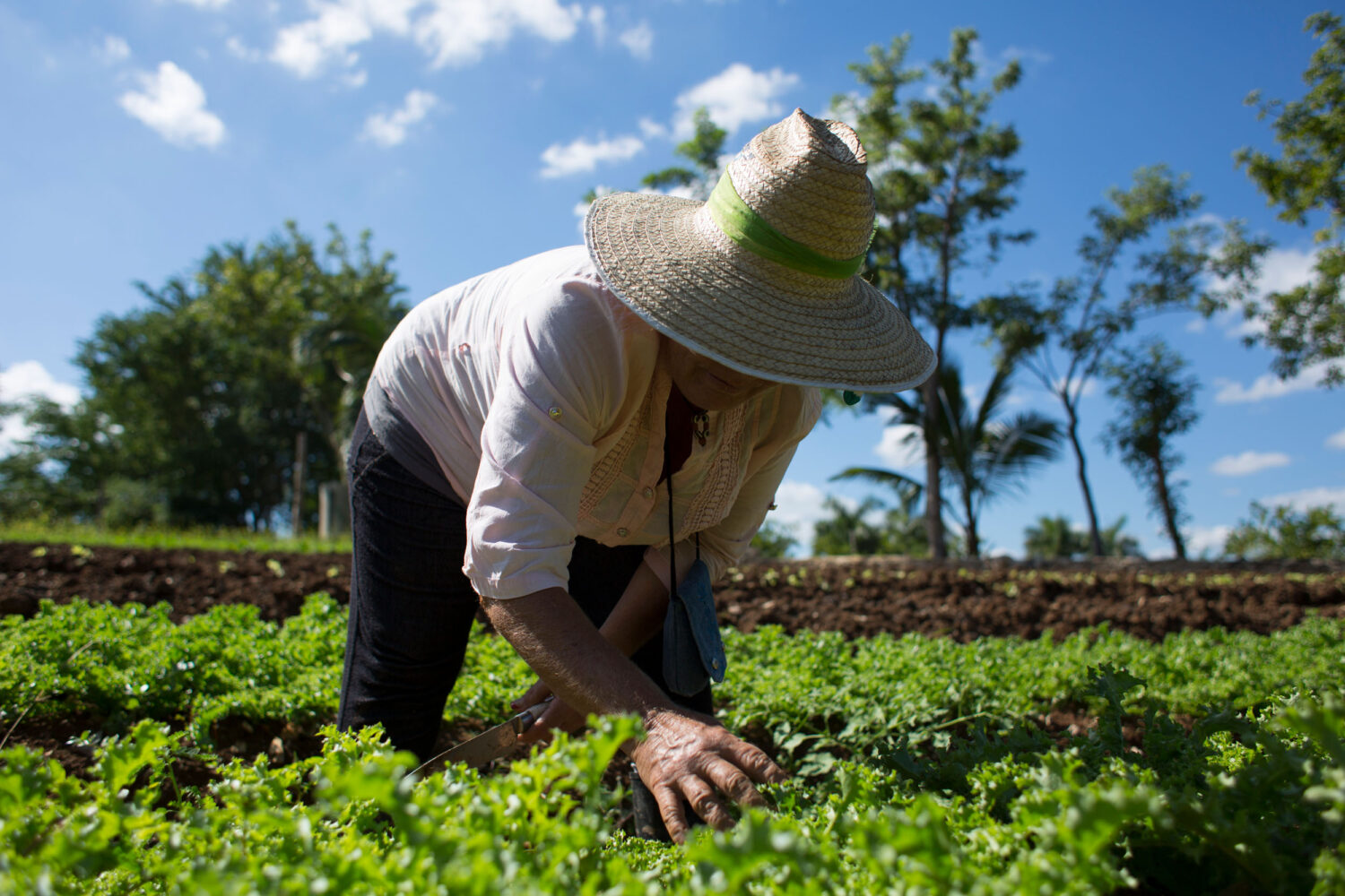 ¿que Es La Agroecología Centro De Educación Ambiental De Casa De Campoemk 7037