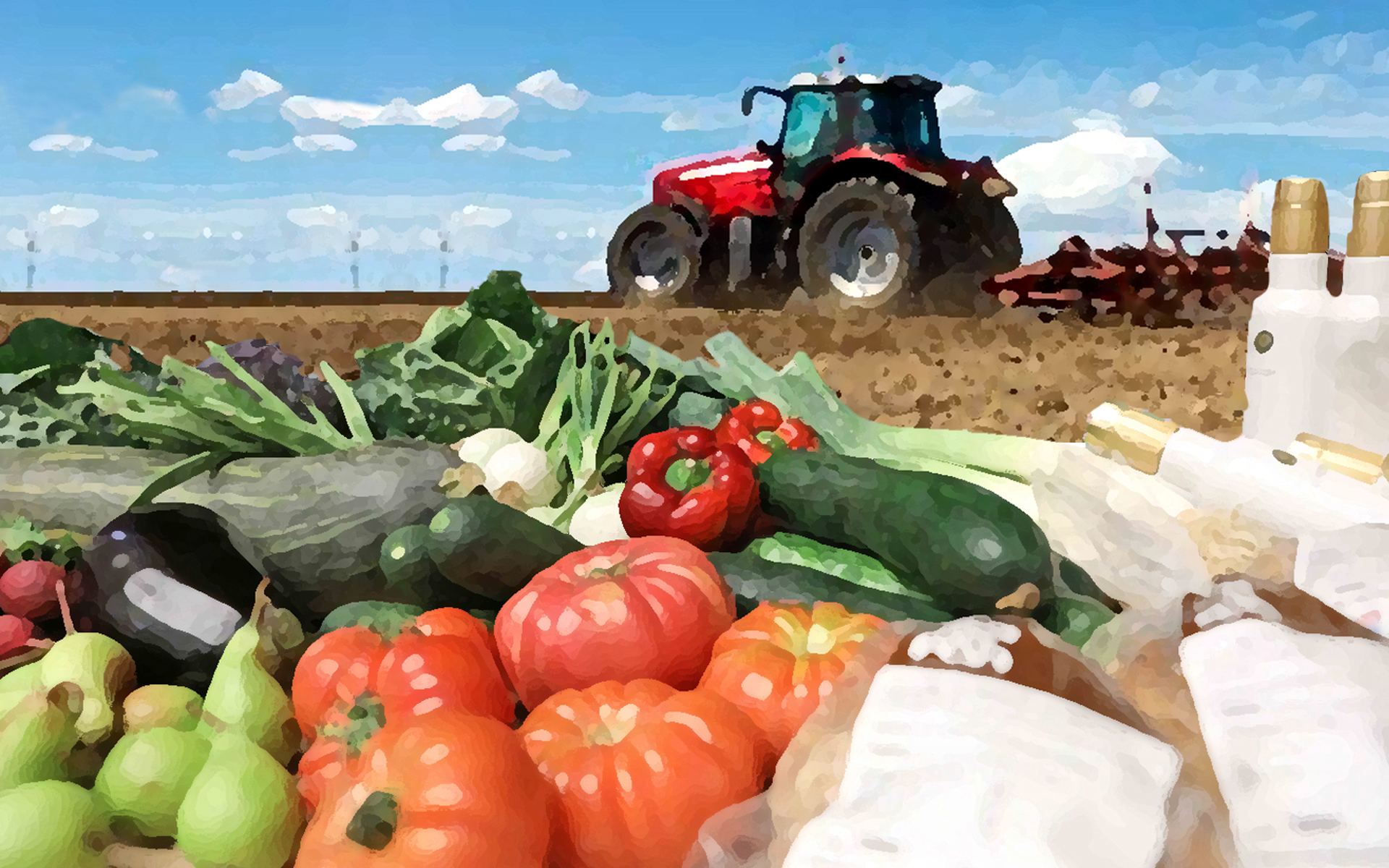 Alimentar La Salud Y La Sostenibilidad Centro De Educación Ambiental De Casa De Campo 0006