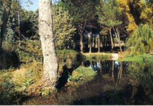 ANULADA: Botánica del arroyo Antequina (NOVEDAD)