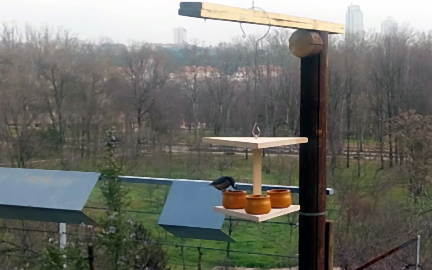 Rtengtunn Comedero para pájaros Alimentador de Malla para Colgar al Aire Libre Aves Silvestres portátiles Suministros de plástico Productos Parque Jardín Contenedor de árboles 