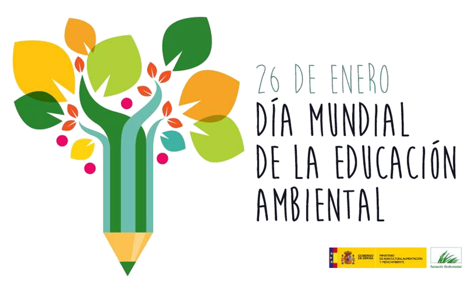 Porque Es Importante La Educacion Ambiental En Los Niños