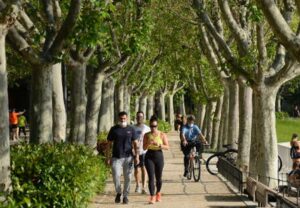 WEBINAR: Movilidad por la Casa de Campo