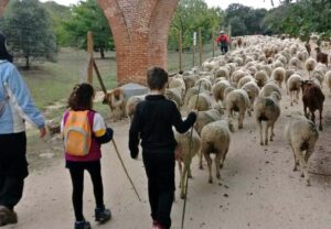 Pastores por un día