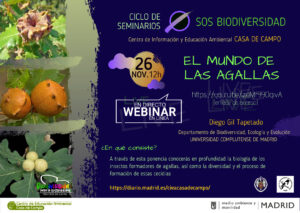 WEBINAR: El mundo de las agallas