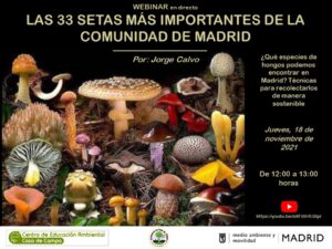 WEBINAR: Las 33 setas más importantes de la Comunidad de Madrid