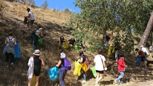 WEBINAR: Proyecto "Libera 1m² por la naturaleza"