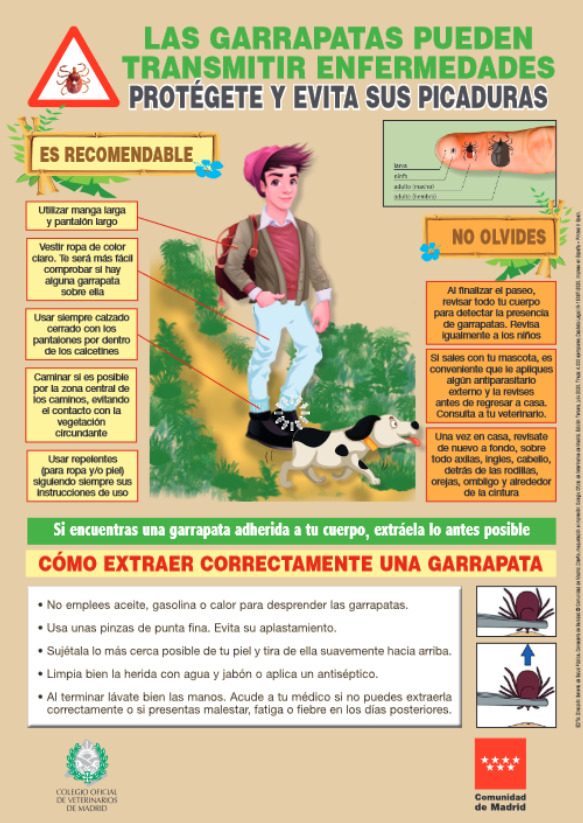 WEBINAR: Piojos, pulgas y garrapatas – Centro de Educación Ambiental de  Casa de Campo