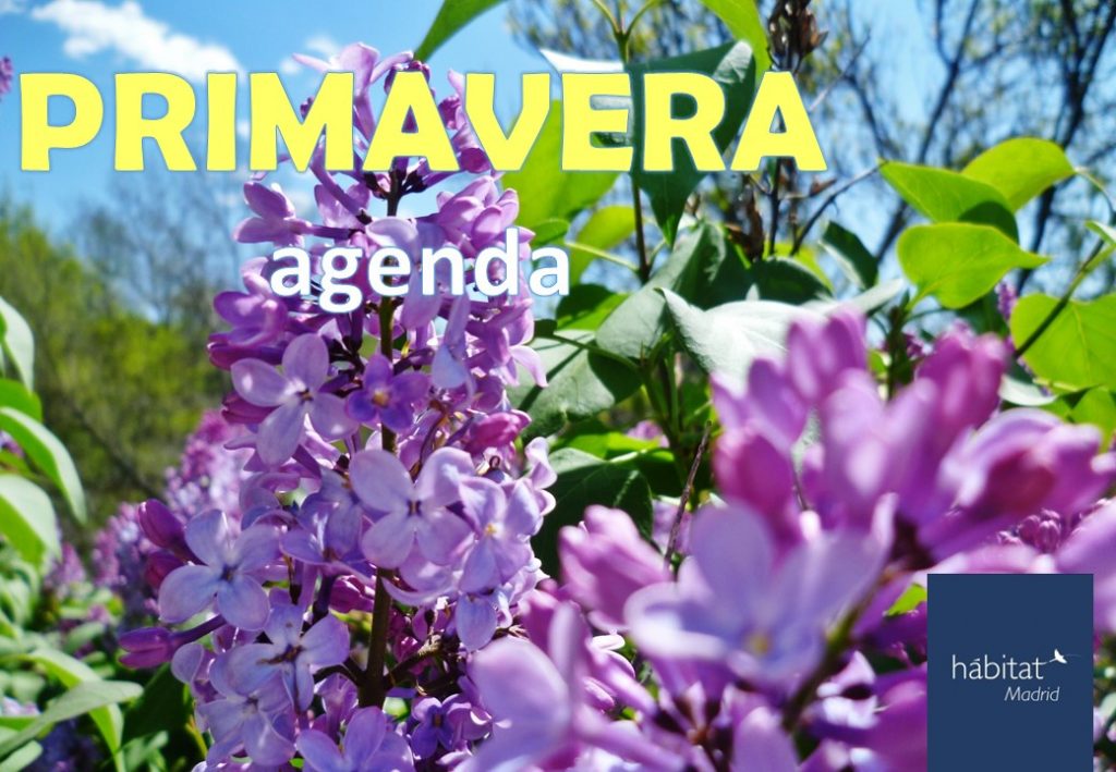 Hábitat de primavera 2022 Centro de Educación Ambiental de Casa de Campo