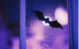 El mundo de los murciélagos (sesión vespertina)