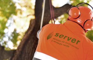 WEBINAR: Descubre el SERVER