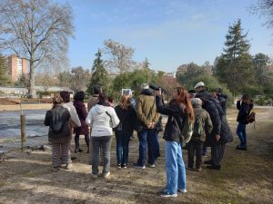 Árboles notables del Vivero
