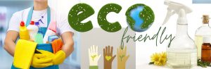 Taller: Ecolimpiadores