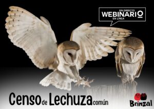 WEBINARIO: Censo Lechuza común en la Comunidad de Madrid
