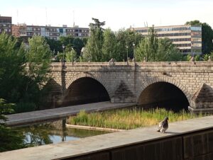 Itinerario: De Casa de Campo a Madrid Río I