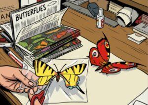 Taller: El color de las mariposas