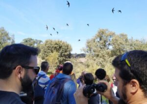 Itinerario: Paseo ornitológico