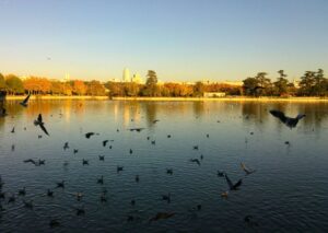 Itinerario: Secretos del Lago