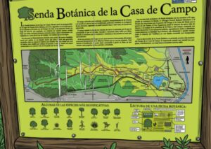 Itinerario: Senda botánica
