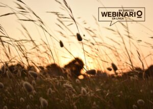 Webinario: El poder agroecológico de los pastizales