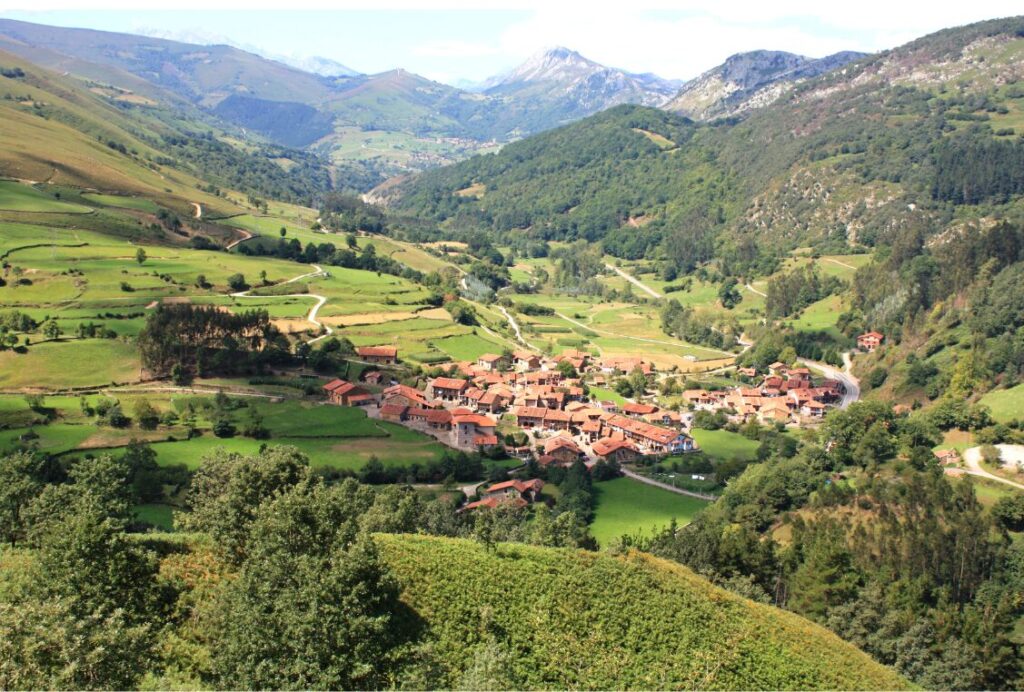 Paisaje en mosaico
