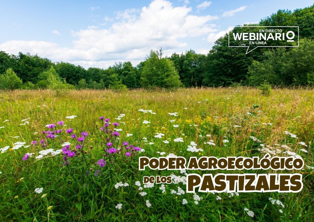 Portada pastos con pradera