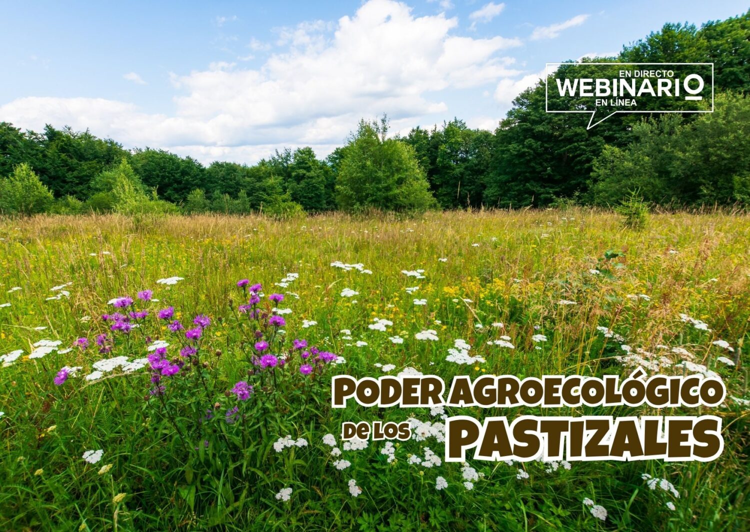 Portada pastos con pradera