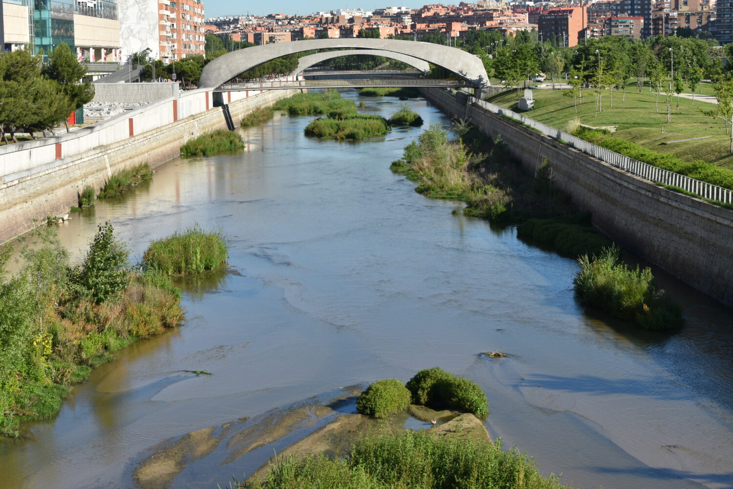La vida en la ciudad en el Día Mundial de la Biodiversidad: el río ...