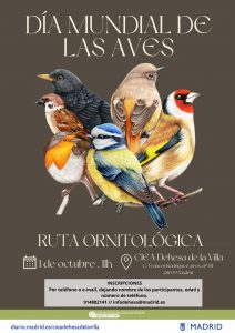 Ruta ornitológica por el Día Mundial de las Aves @ CIEA Dehesa de la Villa