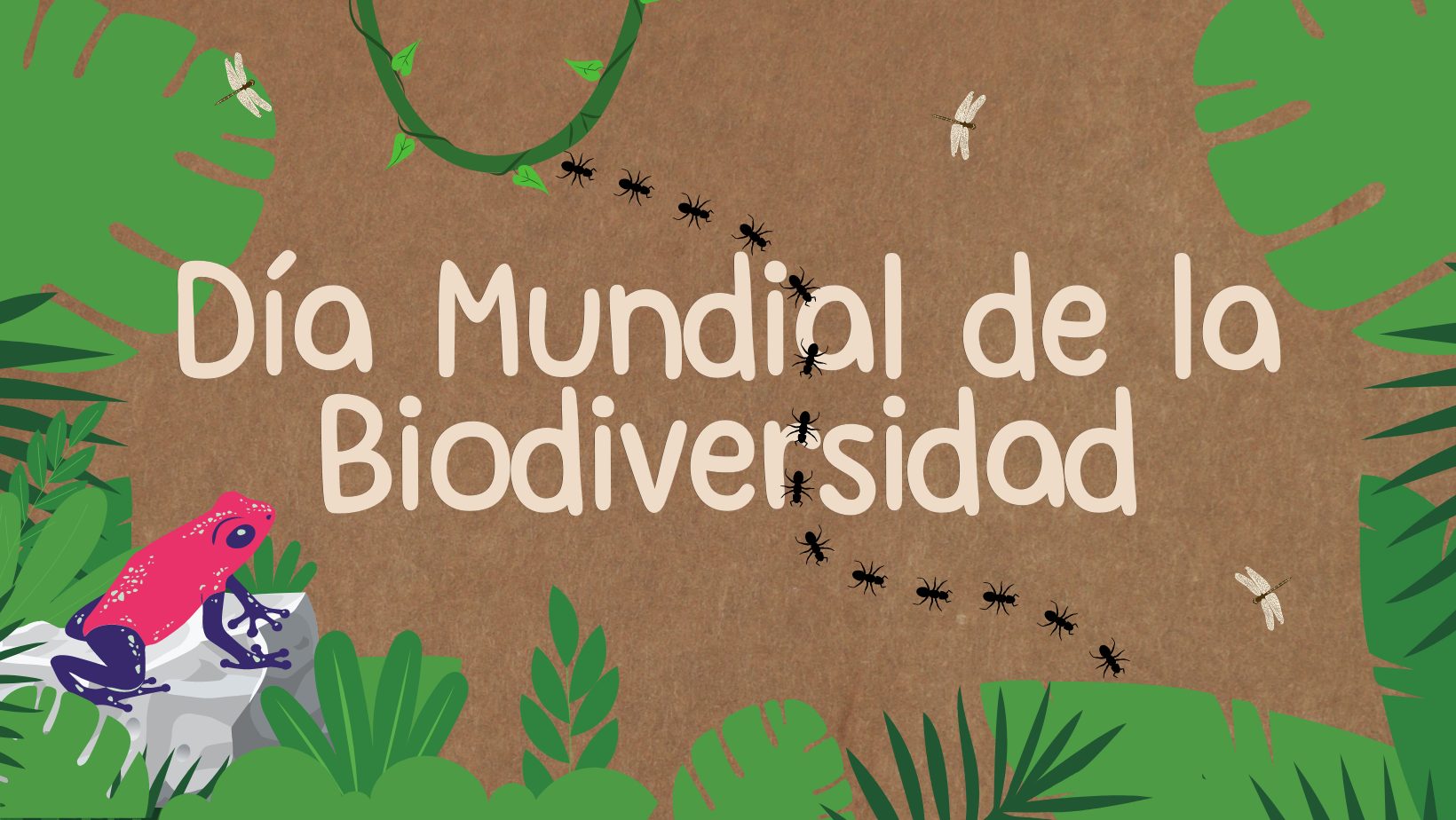 Día Mundial De La Biodiversidad Centro De Educación Ambiental De Dehesa De La Villa 