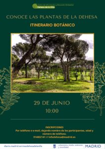 Ruta botánica: Conoce las plantas de la Dehesa @ CIEA Dehesa de la Villa
