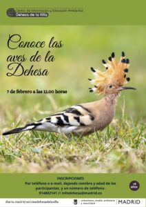 CONOCE LAS AVES DE LA DEHESA @ CIEA Dehesa de la Villa