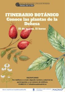 Itinerario botánico.Conoce las plantas de la Dehesa @ CIEA Dehesa de la Villa