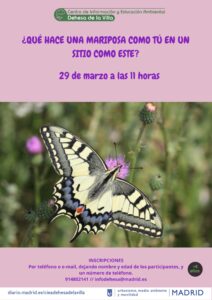¿qué hace una mariposa como tú en un sitio como este? @ CIEA Dehesa de la Villa