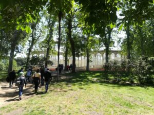 Los árboles exóticos del Retiro
