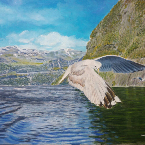 Gaviota en los fiordos noruegos