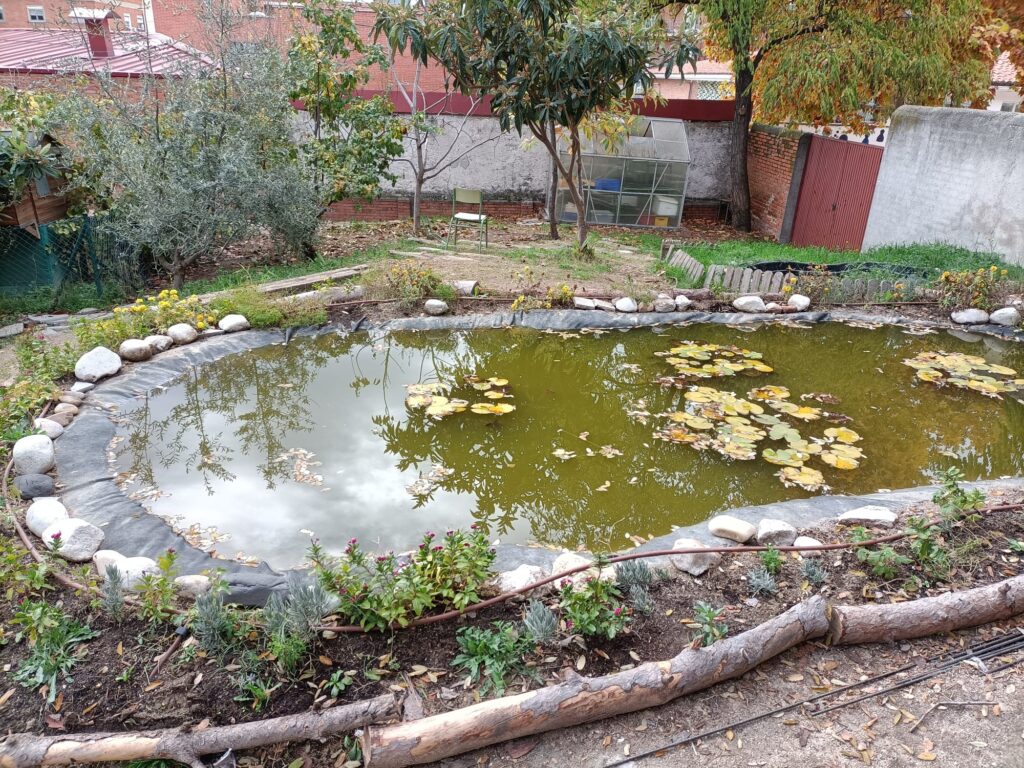 Charcas Escolares Un Espacio Para El Aprendizaje Y La Conservaci n De charcas-escolares-un-espacio-para-el-aprendizaje-y-la-conservaci-n-de