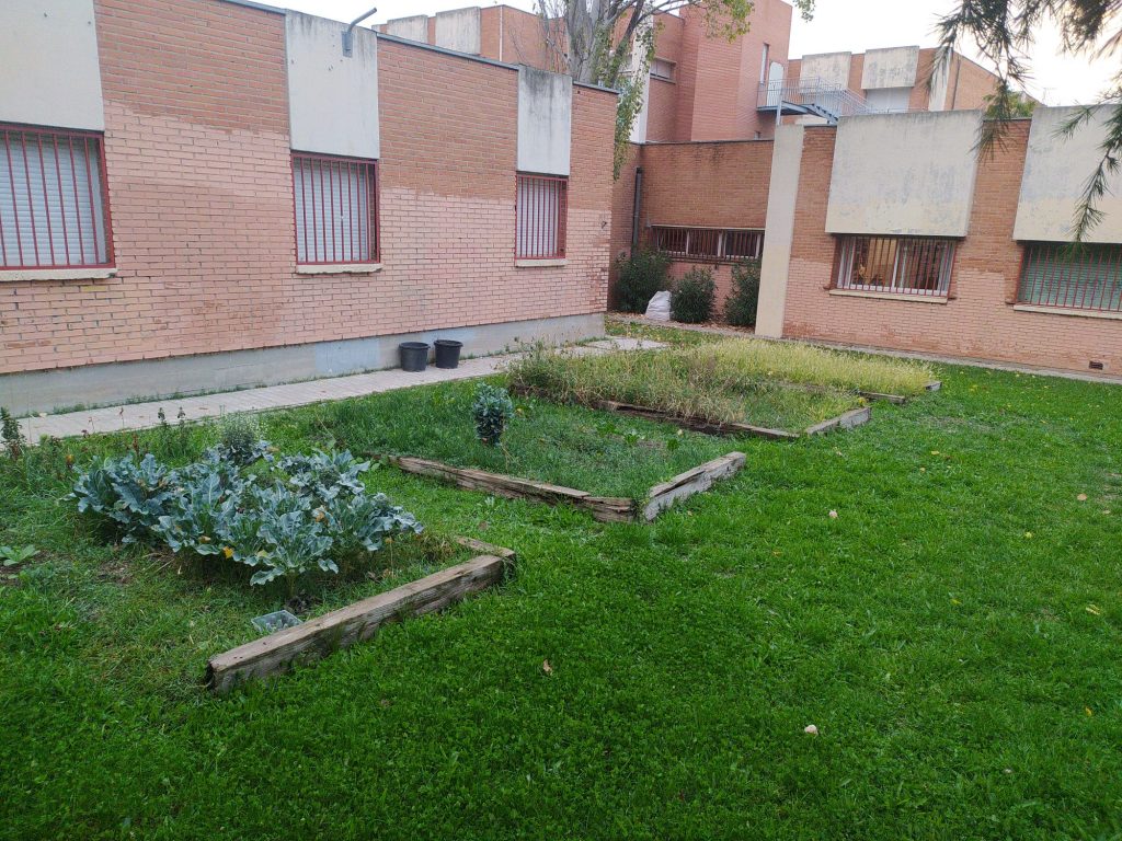 Mantenimiento de Foret Servicios Integrales en la Red de Huertos escolares sostenibles de Madrid